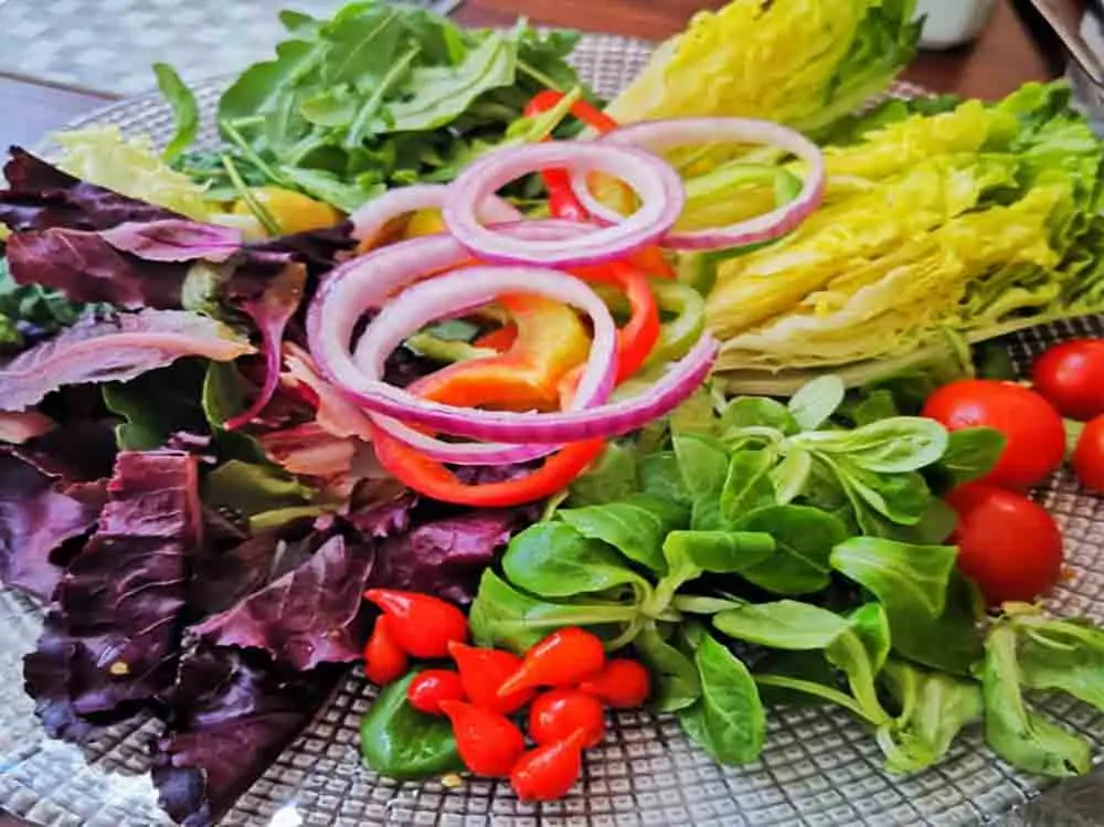 Ensalada de nuestra huerta
