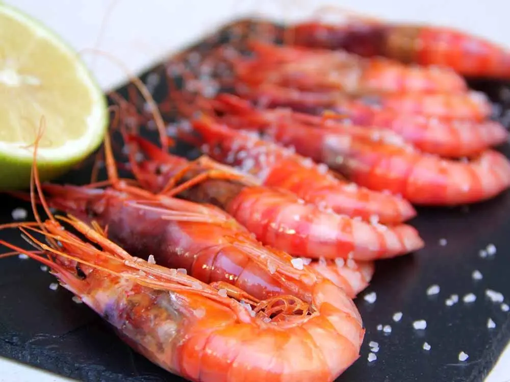 Gambón plancha